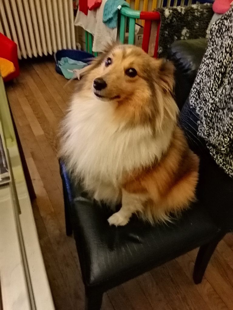 Naya (Sans Affixe)